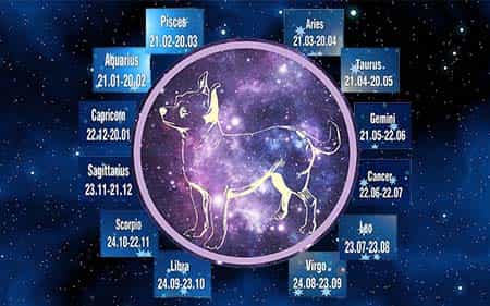 dog, horoscope, space